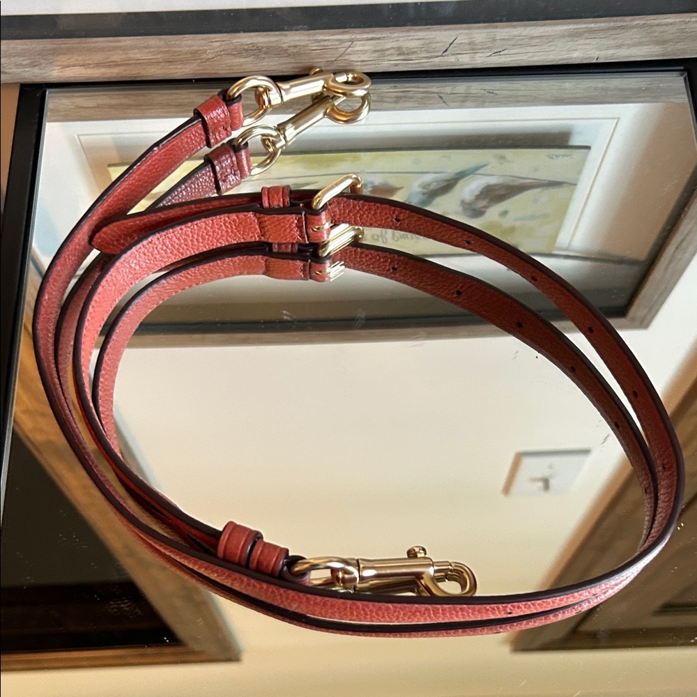 Coach Rust colored crossbody strap with Gold Hardware - Picture 2 of 13